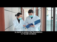 Introdução da empresa